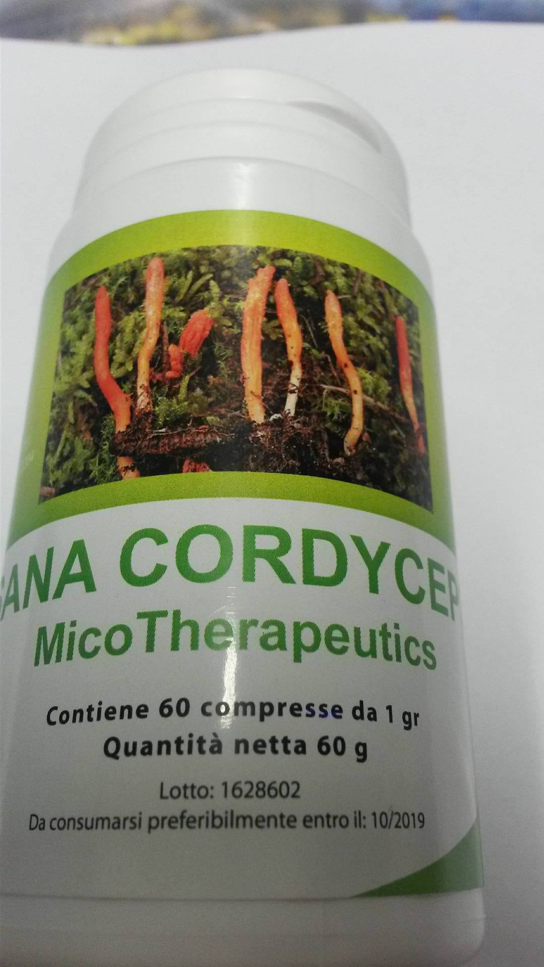 SANA CORDYCEPS